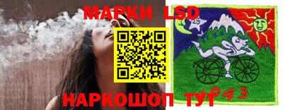 прущие крисы Краснокаменск