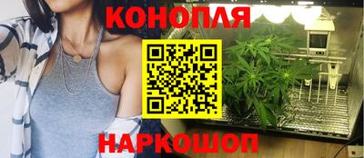 apvp Краснодар