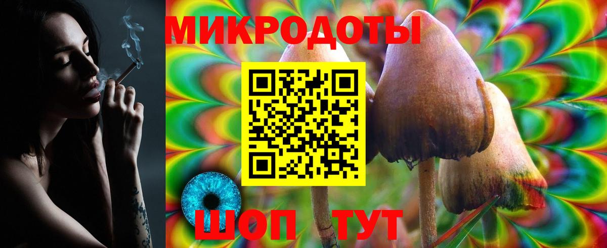 Элиста  наркота  Вход с VPN  Псилоцибиновые грибы Psilocybe 