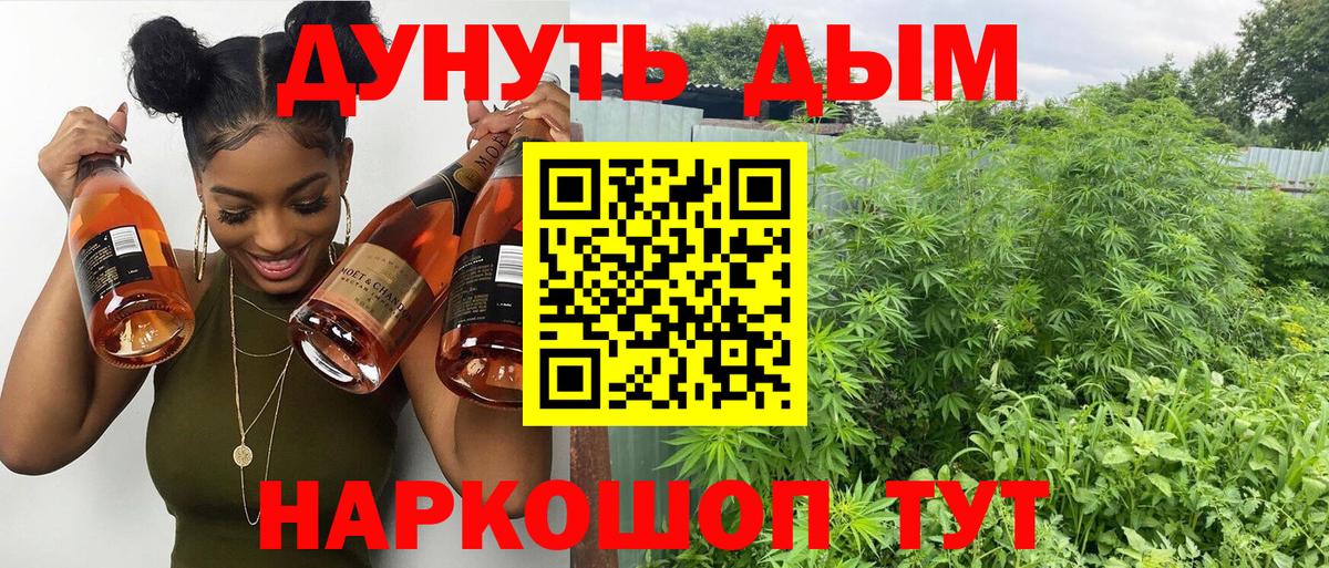 Канабис VHQ  Вход с VPN  Конопля планчик  Элиста  МАРИХУАНА THC 21% 